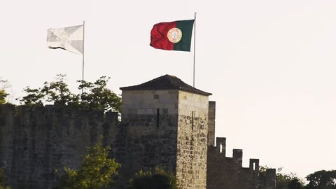 Flags placed on towers between plants Stock Footage 105266770