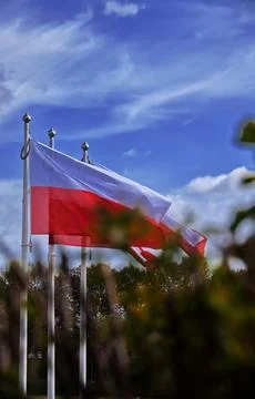 Flags of Poland. Stock Photos