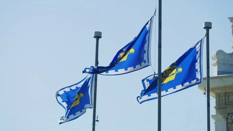 Flags of Quebec City Stock Footage 99888114