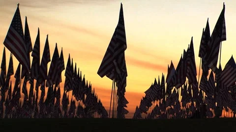 Flags resting sunset Stock-Footage 8689351