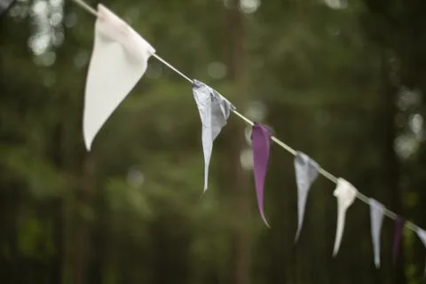 Flags on rope. Flags in row hang on string. Stock Photos