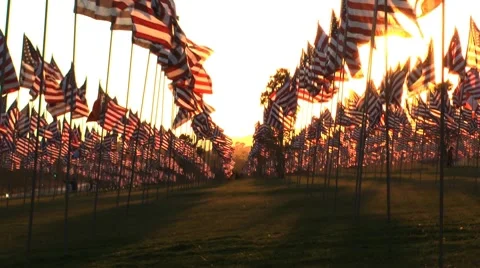 Flags in rows sun Stock-Footage 8689920