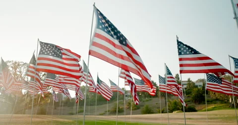 Flags Serve as a Tribute to September 11, Celebrating US Patriotism, Resilience Stock Footage 286935096