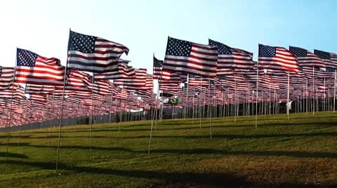 Flags shadows wind Stock-Footage 8861352