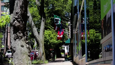 Flags On Sidestreet, Halifax, Nova Scotia, Canada 動画素材 91753459