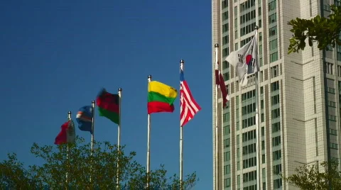 Flags before skyscraper Stock Footage 306097
