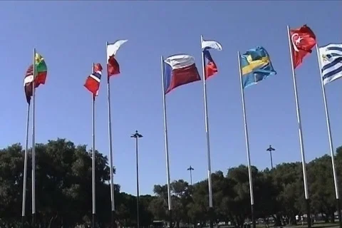Flags of some countries waving Stock Footage 102227