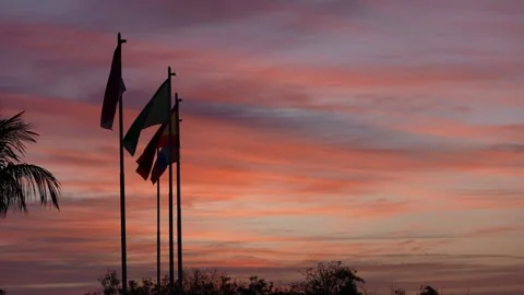 Flags Standing at Dusk Stock Footage 305956810