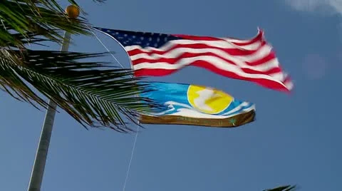 Flags in Strong Wind Stock Footage 12448482