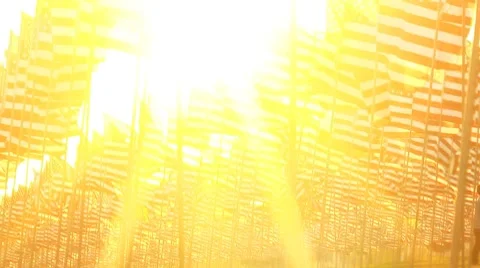 Flags sun behind Stock-Footage 8689690