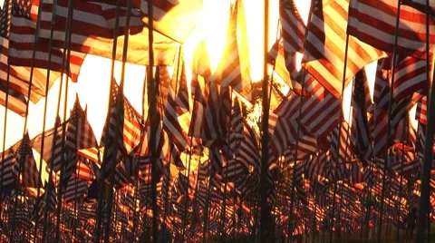Flags sun behind2 Stock-Footage 8688928