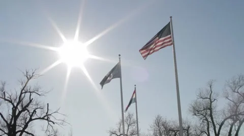 Flags in the Sun 스톡 동영상 1127701