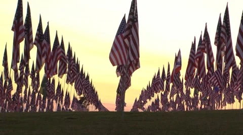Flags sunset modified Stock-Footage 8691088