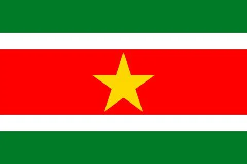 Flags of Suriname Stock Illustration