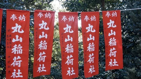 Flags in the Temples Video stock 101890722