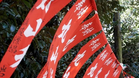 Flags in the Temples Stock Footage 130095183