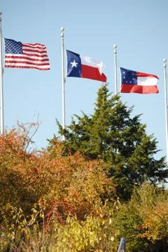Flags of Texas Stock Photos