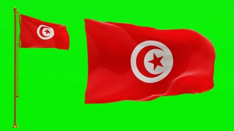 Flags of Tunisia with Green Screen Chroma Key High Quality 4K UHD 60FPS Video stock 144209121