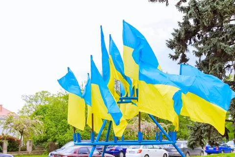 Flags of Ukraine on a background of green trees on a windy day. Stock Photos