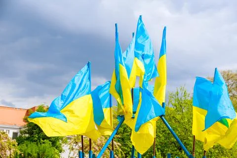 Flags of Ukraine on a background of green trees and blue sky on a windy day. Stock Photos