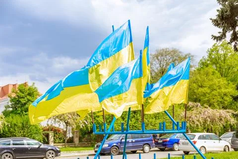 Flags of Ukraine on a background of green trees and blue sky on a windy day. Stock Photos