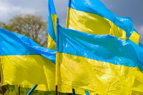 Flags of Ukraine close up on a windy day. Stock Photos
