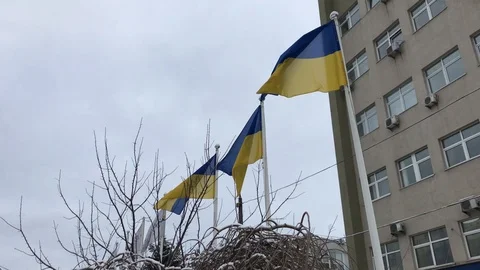 Flags of Ukraine fluttering in the wind Stock Footage 106115867