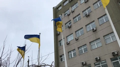 Flags of Ukraine fluttering in the wind Stock Footage 106115869