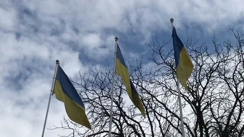 Flags of Ukraine fluttering in the wind Stock-Footage 112519814