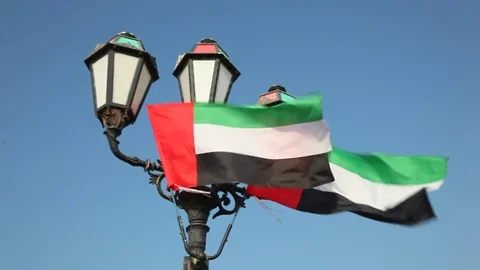 Flags of the United Arab Emirates Stock Footage 70423036