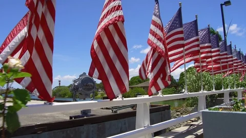Flags of the United States fluttering in the wind Stock Footage 117734011
