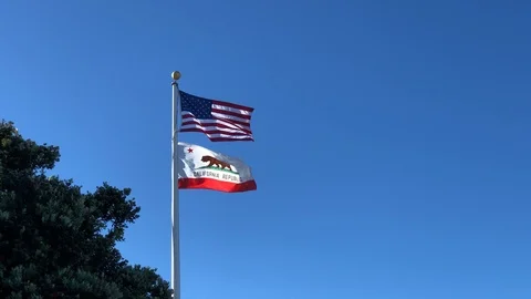 Flags of USA and California waving at the wind Stock Footage 114219829