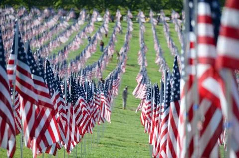 Flags of Valor outside Saint Louis Art Museum Stock Photos