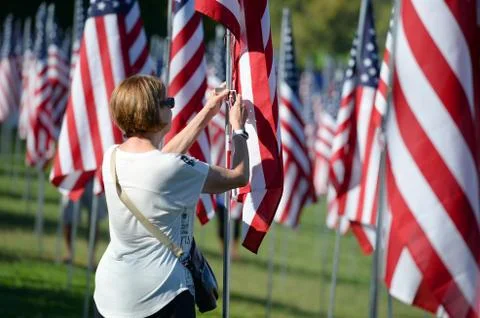 Flags of Valor outside Saint Louis Art Museum Stock Photos