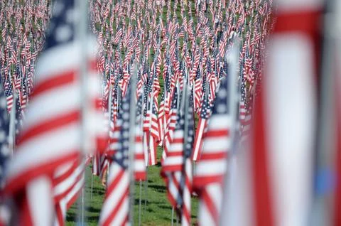 Flags of Valor outside Saint Louis Art Museum Stock Photos