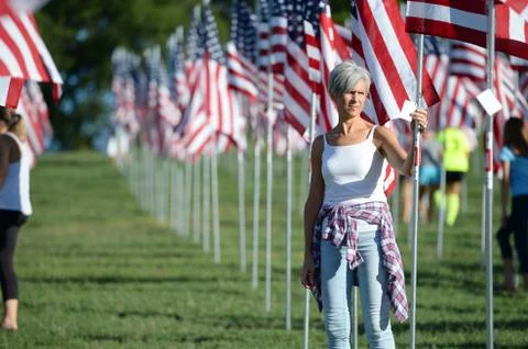Flags of Valor outside Saint Louis Art Museum Stock Photos