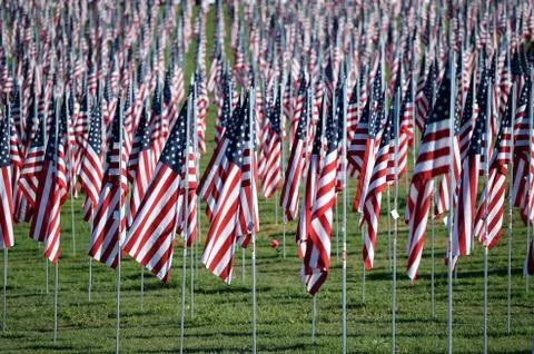 Flags of Valor outside Saint Louis Art Museum Stock Photos