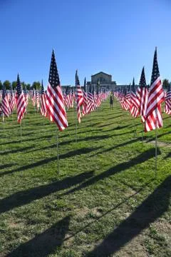 Flags of Valor outside Saint Louis Art Museum Stock Photos