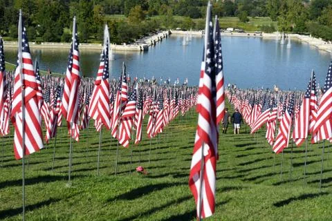 Flags of Valor outside Saint Louis Art Museum Stock Photos