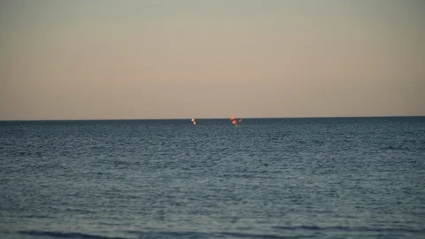 Flags in the water Stock Footage 127934587