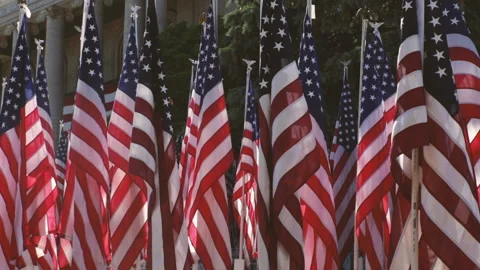 Flags waving in the breeze at the courthouse in Marion Virginia Stock Footage 155172367