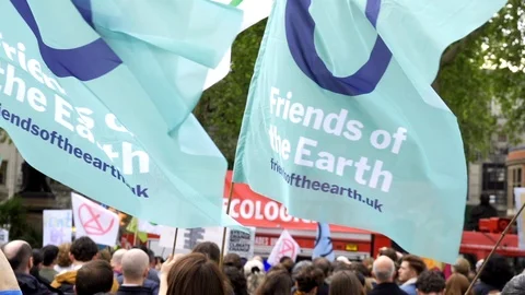 Flags Waving During Extinction Rebellion Global Climate Change Rally Stock Footage 107926644