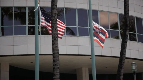 Flags waving Stock Footage 104737381