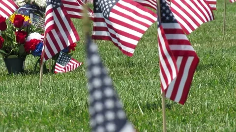 Flags waving Video stock 154921161