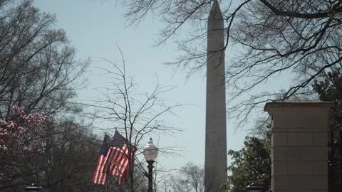 Flags Waving Near the Washington Monument in Washington DC With Bare Trees Видео 306327480