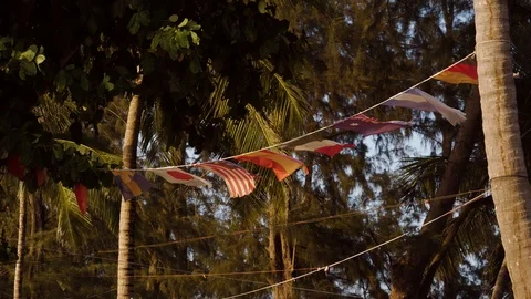 Flags waving on the rope among trees Stock Footage 126226906