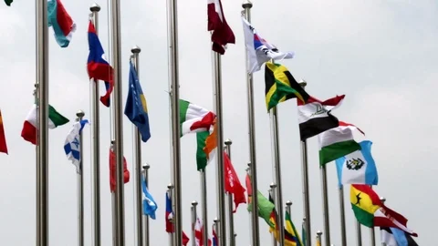  Flags waving in wind  Stock Footage 108344443