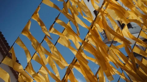Flags waving with the wind 動画素材 128012499