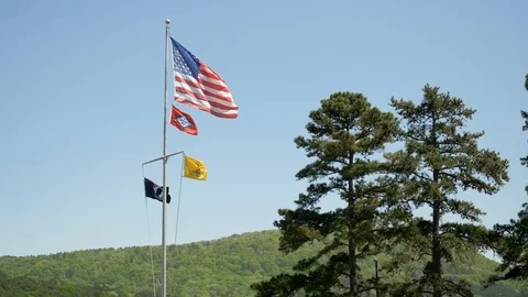 Flags Waving in the Wind Next to Trees and Rolling Hills Video stock 95947477