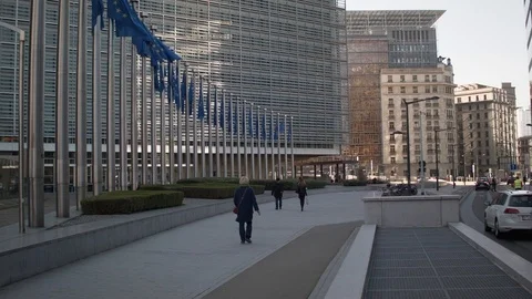 Flags in the wind Stock Footage 105100860